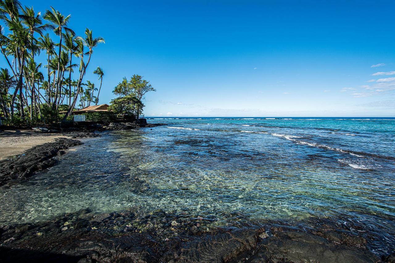 Kahaluu On Kona Coast Apartamento *