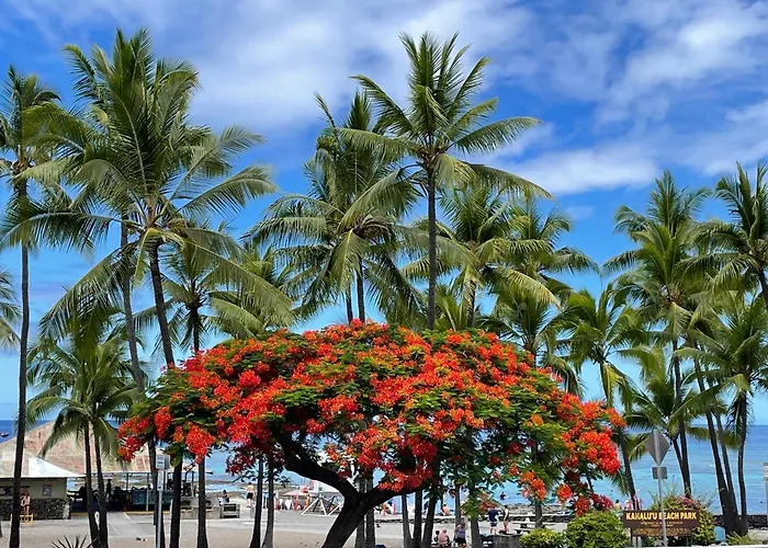 Beach Villas Kahaluu On Kona Coast