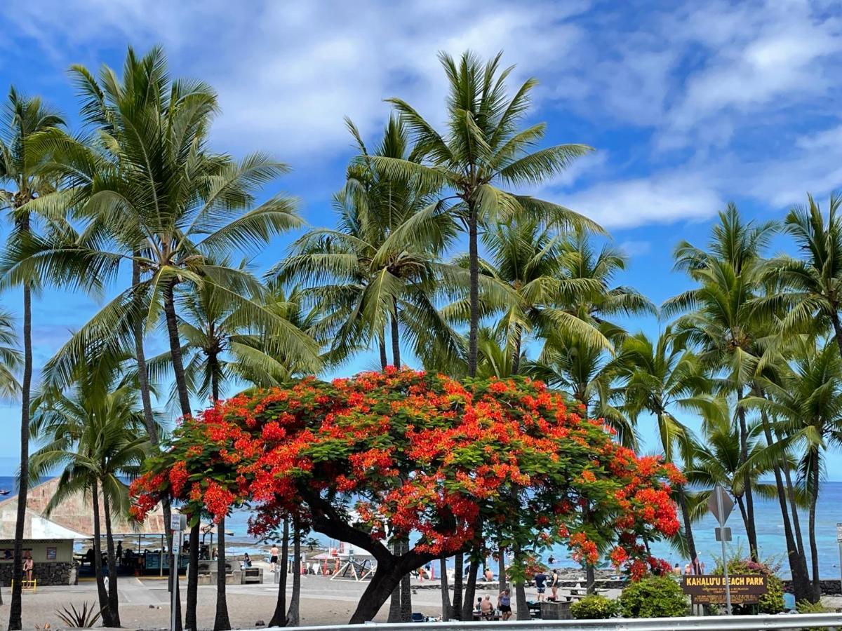 Kahaluu On Kona Coast Appartamento