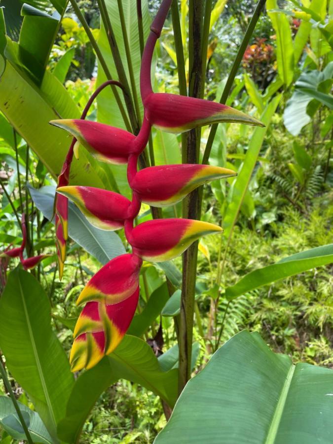 Kahaluu On Kona Coast